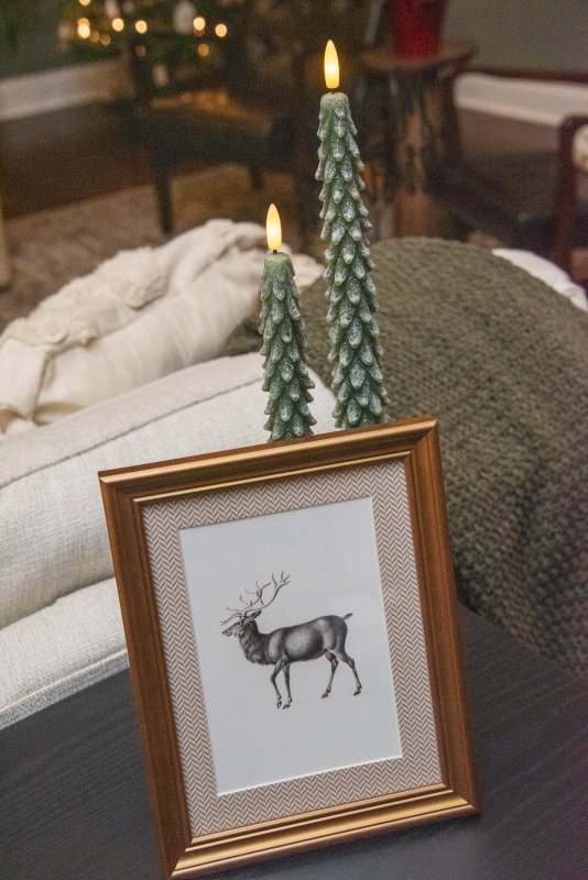 Tasteful holiday details sparkle at the home of Kelly and Chris Cole in Wagamons West Shores.